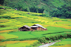 Day 2: Lao Cai - Sapa - Ma Tra Village (Breakfast, Lunch)